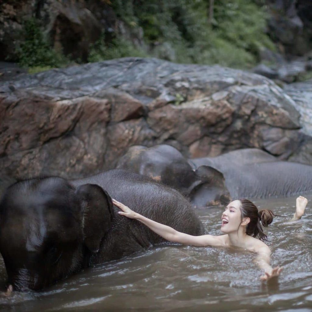 เกรซ กาญจน์เกล้า อาบน้ำให้ช้าง แต่ดูเหมือนจะไม่มีใครสนใจช้างเลยสักนิด