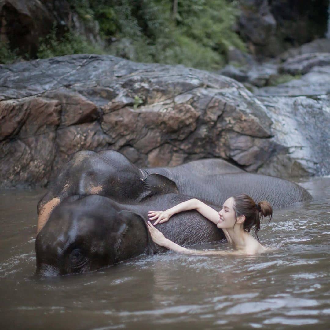เกรซ กาญจน์เกล้า อาบน้ำให้ช้าง แต่ดูเหมือนจะไม่มีใครสนใจช้างเลยสักนิด